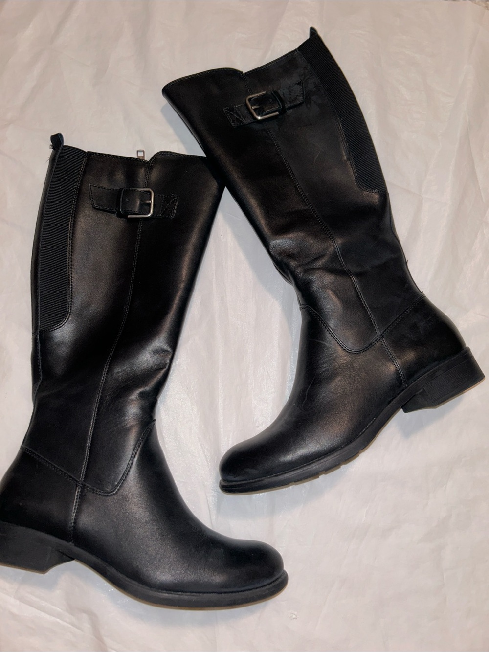 Bass Women’s Vanessa Extended Calf Zip Tall Boots Size
